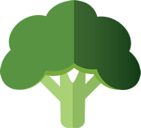 Broccoli graphic
