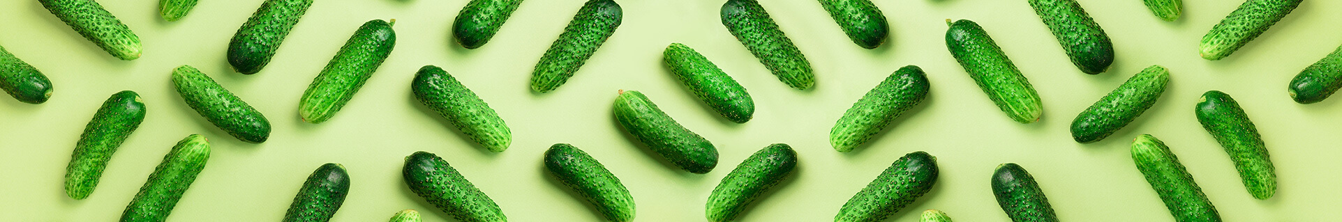 Pickles against a light green background
