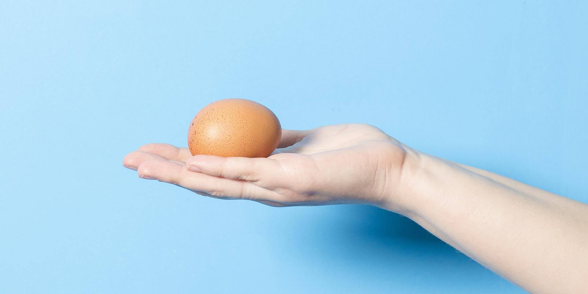 Hand holding a single brown egg against a blue background
