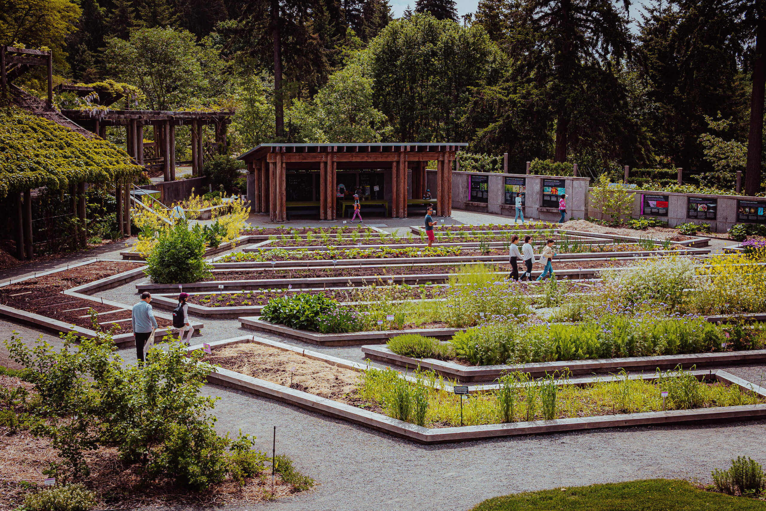 UBC Botanical Garden / Food Garden